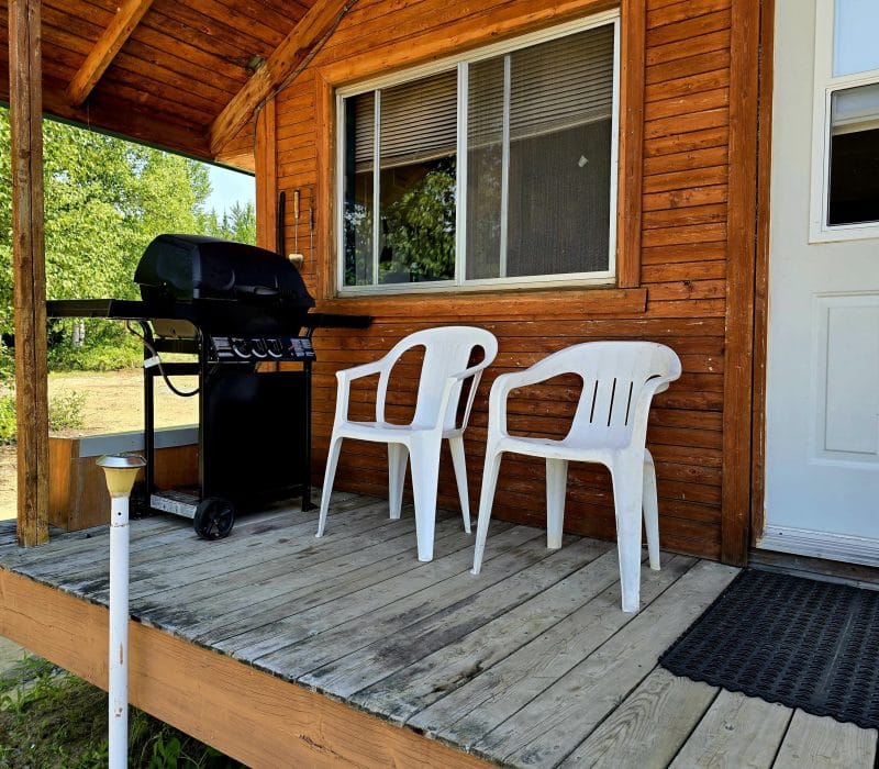 Chalet et bbq